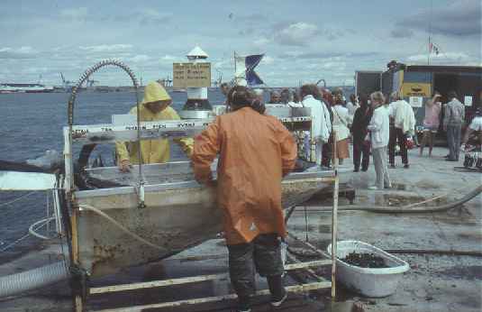 Foto: Jan-Erik Nilsson, 1990