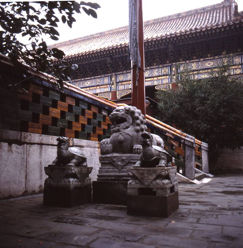 Yonghegong lion